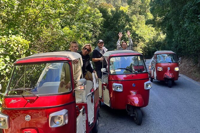 1-Hour Guided Tuk-Tuk Tour in Sintra - Sintra National Palace from the panoramic viewpoint