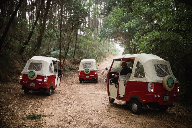 1-Hour Guided Tuk-Tuk Tour in Sintra - Passing the Moorish Castle gates