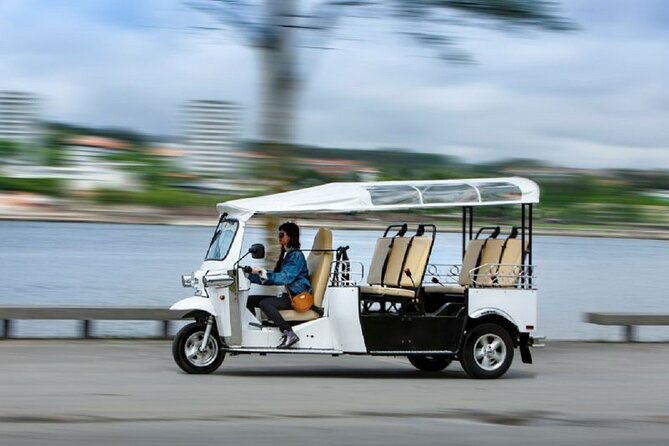2 Hour Private Tuktuk Tour in Porto to Monastery and Cellars - Serra do Pilar: ten minutes above the Douro