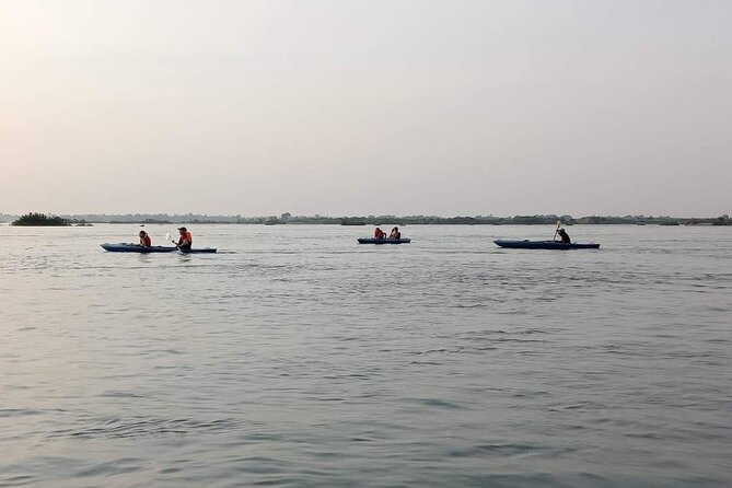 4 hours taking tuk tuk to see Mekong dolphins and countryside - Kampi village and the dolphin boat