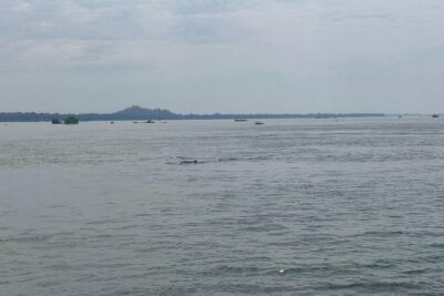 4 hours taking tuk tuk to see Mekong dolphins and countryside