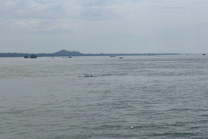 4 hours taking tuk tuk to see Mekong dolphins and countryside - Phnom Sambok Pagoda and its hilltop view