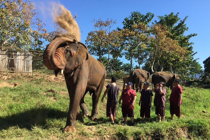 5 Day Tuk Tuk Adventure in Chiang Mai - with driver - Why a tuk tuk works so well in the mountains