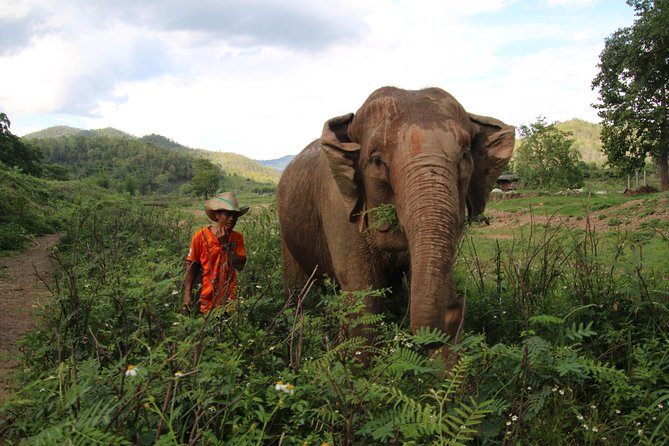 A stunning 11 Day Tuk Tuk Adventure in Northern Thailand - with driver - Why a tuk tuk works so well in Northern Thailand