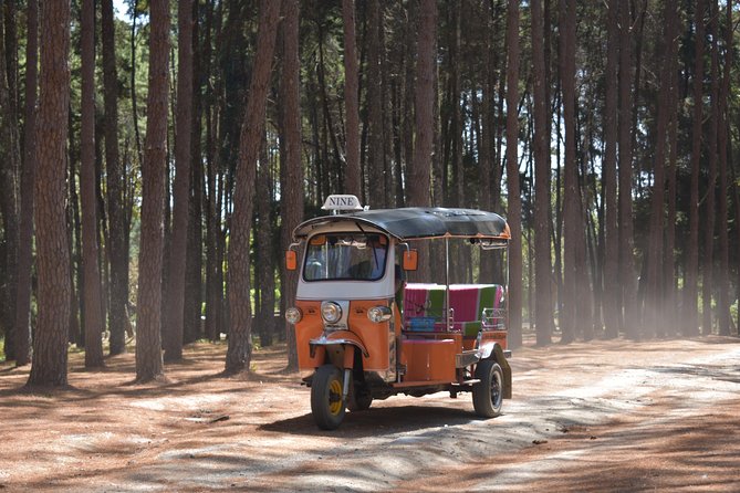 A stunning 11 Day Tuk Tuk Adventure in Northern Thailand - with driver - Day 9: Pool time and your own Pai plans