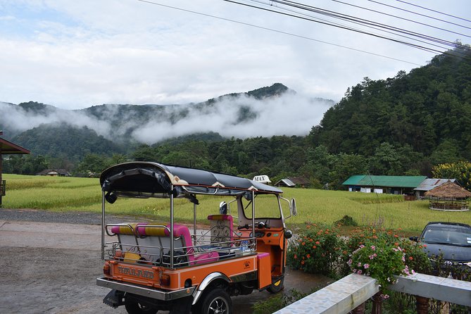 A stunning 11 Day Tuk Tuk Adventure in Northern Thailand - with driver - Days 1 and 2: Mae Wang and elephant care