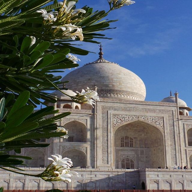 Agra: Taj Mahal Guided Tour with Tuk-Tuk - Agra Fort adds the political story