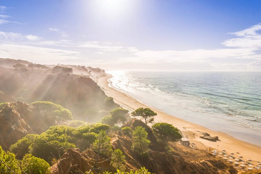 Albufeira: Beach, Old Town & Falesia Electric Tuk Tuk Tour - Who will enjoy this tour most?