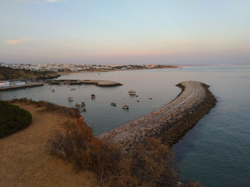 Albufeira: Guided Tour by Tuk-Tuk - Is $39 a fair price for 75 minutes?