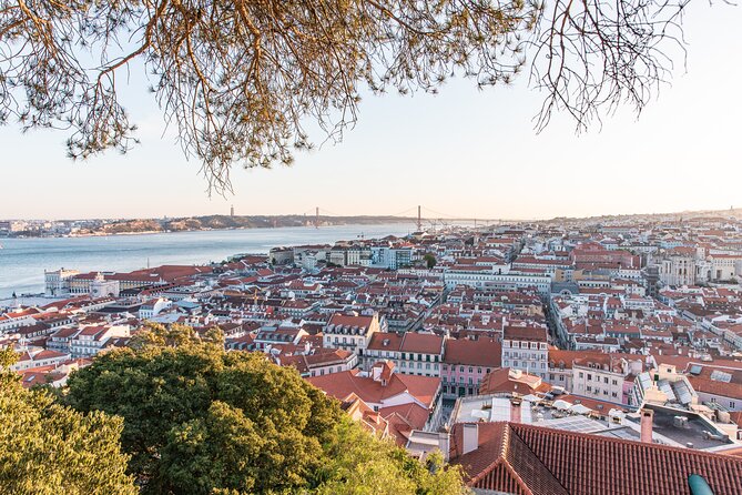 Alfama Private Tuk Tuk Tour: Lisbon’s Oldest Neighborhood (2 HRS) - Comfort, Timing, and the Bumpy Parts