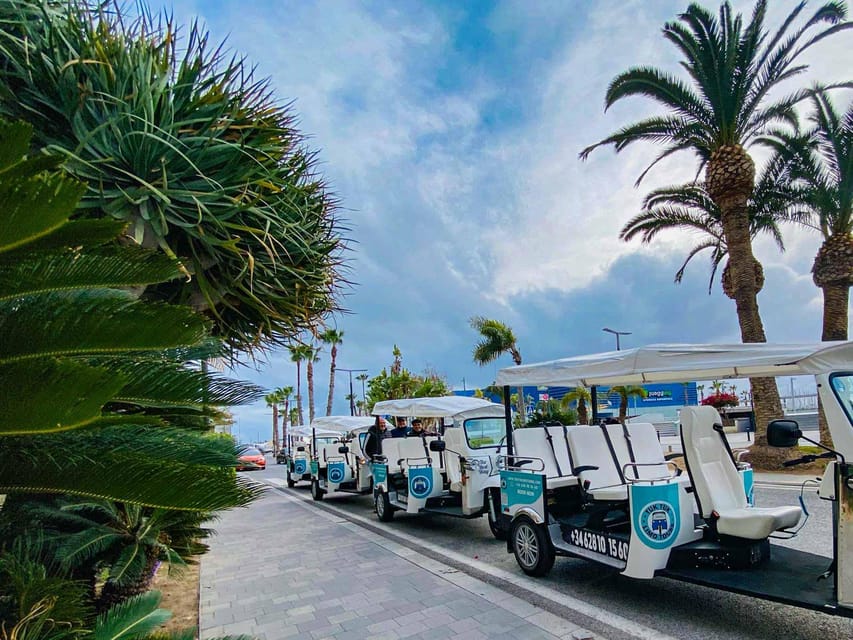 Alicante Tuk Tuk Overview Tour - Old Town, Santa Cruz, and San Roque