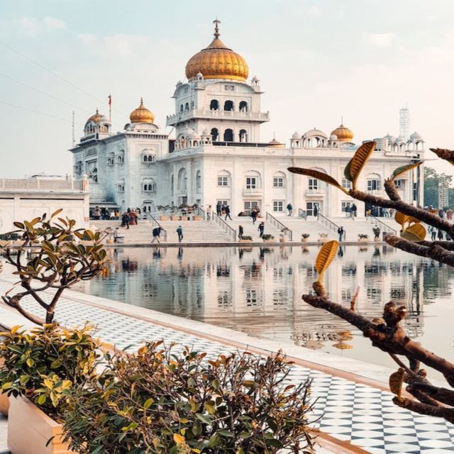 All Inclusive Old & New Delhi Private Day Trip with Tuk Tuk - Why this Delhi day trip works