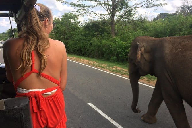 Amazing Tuk-Tuk Day Tour in Ella - What the $50 price really buys you