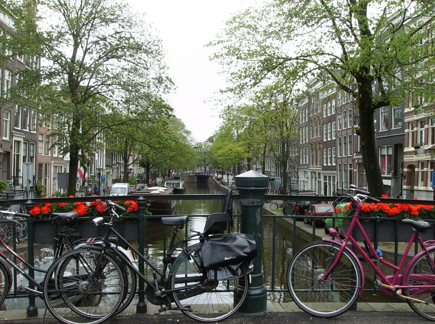 Amsterdam 1-Hour Rickshaw Tour - Seeing the Red Light District and coffee shops