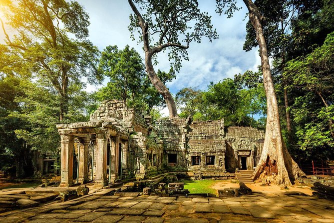 Angkor Wat Private Tour in a Tuk Tuk - Ta Prohm: the atmospheric stop
