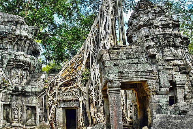 Angkor Wat Private Tour in a Tuk Tuk - What the guides add to the day