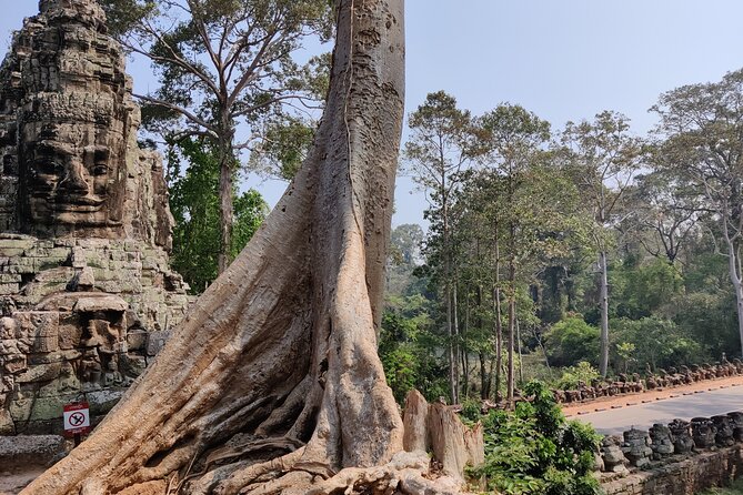 Angkor Wat Private Tuk-Tuk Tour (sunrise Option) & more - Ta Prohm, nature and stone in the same frame
