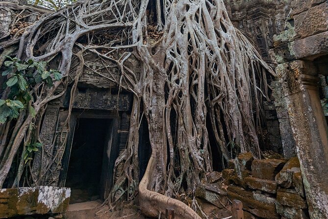 Angkor Wat Private Tuk-Tuk Tour (sunrise Option) & more - Banteay Kdei, and one itinerary detail to confirm