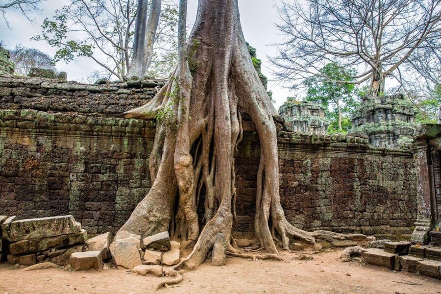 Angkor Wat Small Tour Sunrise With Private Tuk Tuk - Takeo gives the circuit a quieter change of pace
