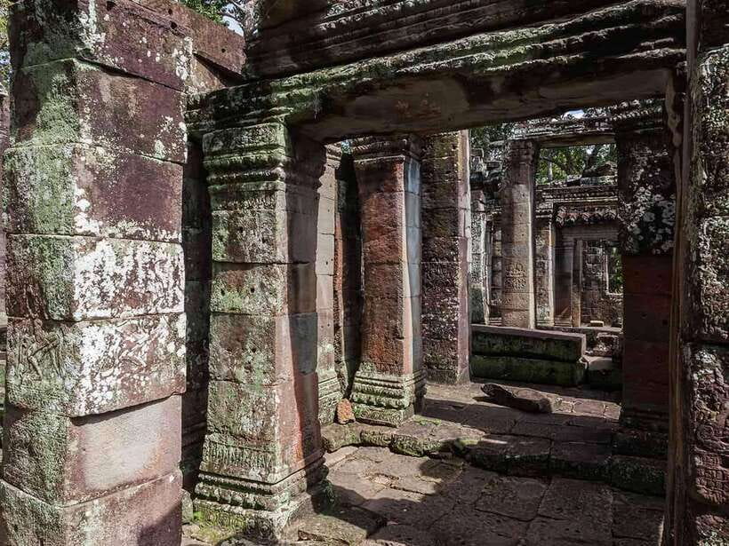 Angkor Wat Small Tour Sunrise With Private Tuk Tuk - Ta Prohm brings the famous tree roots