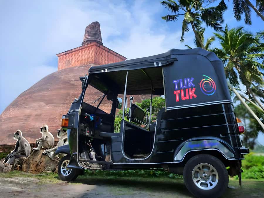 Anuradhapura: Tuk Tuk Tour - Ancient City with Audio Guide - Sacred trees and the great white stupa