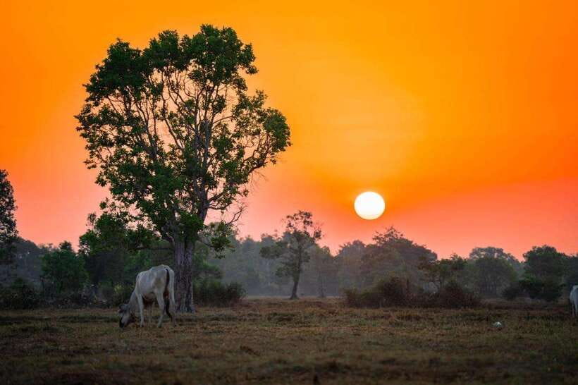 Authentic Siem Reap: Tuk Tuk Countryside and Sunset Tour - Reading Siem Reap through its local market
