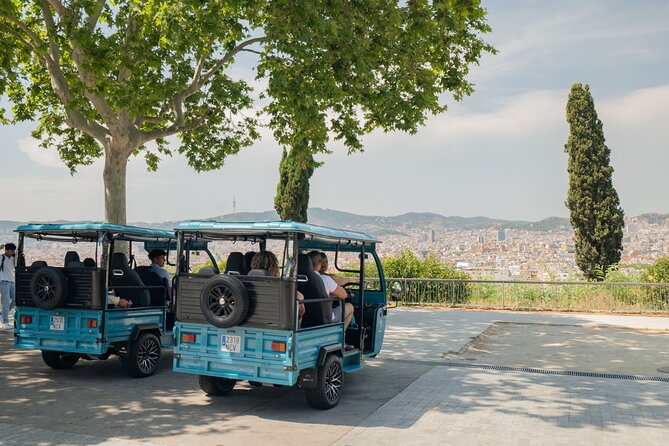 Barcelona 2 Hours Private Tuk-Tuk Tour - The old harbor and Barcelona’s waterfront