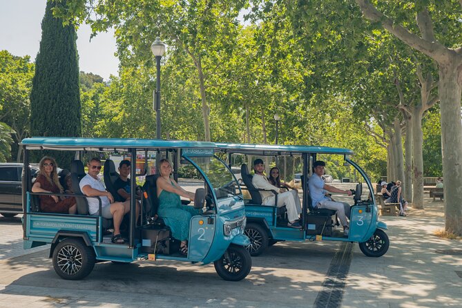 Barcelona 2 Hours Private Tuk-Tuk Tour - Ciutadella Park and Arc de Triomf