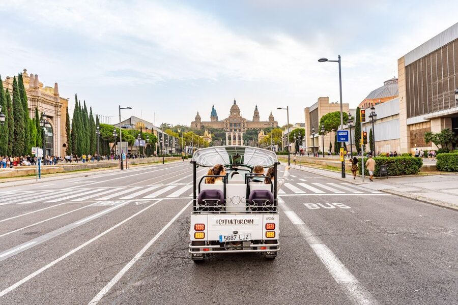 Barcelona: Private City Tour by Eco Tuk Tuk - Olympic Port and the 1992 transformation
