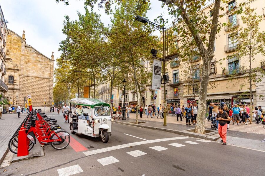 Barcelona: Private City Tour by Eco Tuk Tuk - Plaça de Catalunya and La Rambla