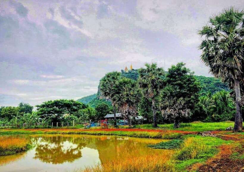 Battambang: Bamboo Train, Bat Cave, Killing Cave by Tuk Tuk - FAQ