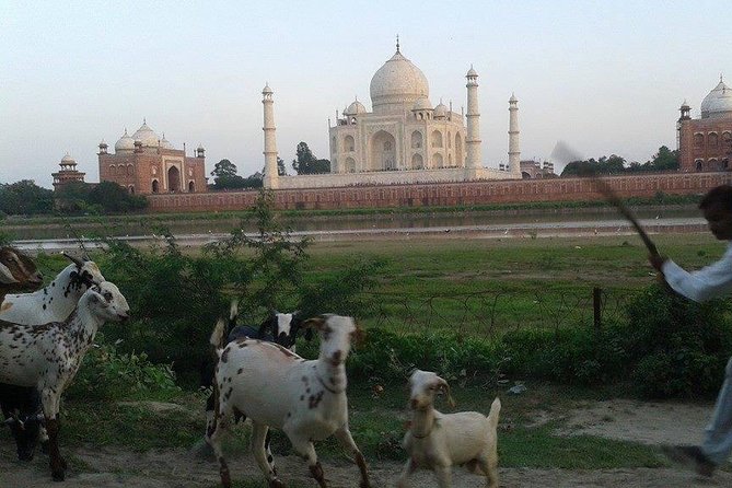 Behind the Taj Mahal with Sunrise or Sunset view by Tuk Tuk Ride - Why Mehtab Bagh is worth your time