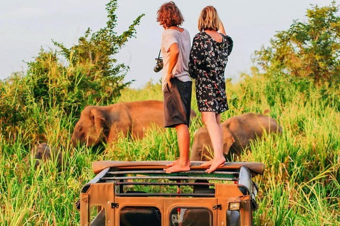 Bentota Tuk Tuk Safari - Who will get the most from this short outing