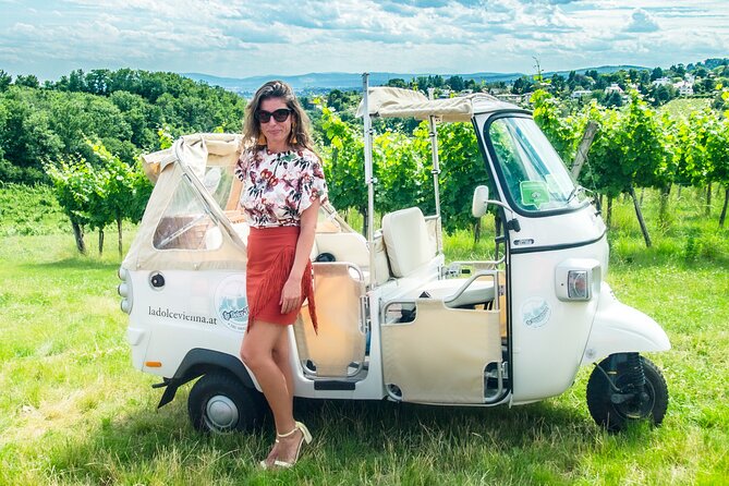 Best of Vienna Tour in TUK TUK! - Weather can change your plans