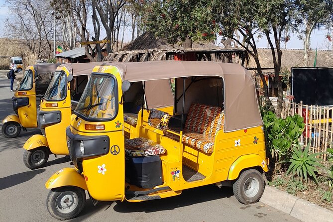 Bicycle or Tuk Tuk Soweto Guided Experience - Key details at a glance