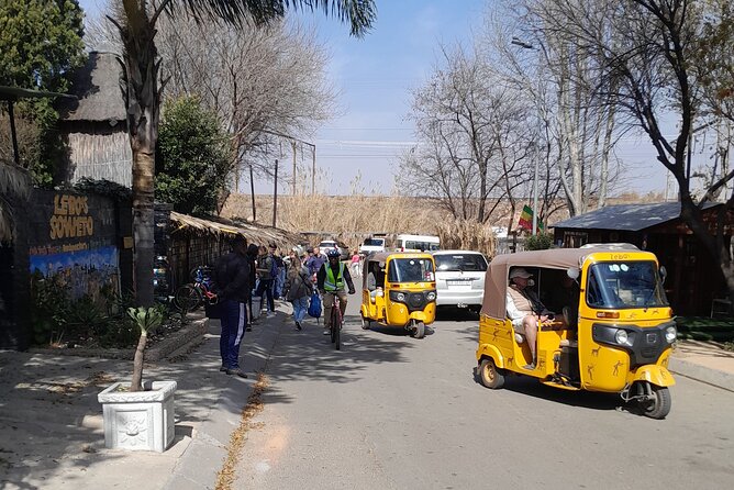 Bicycle or Tuk Tuk Soweto Guided Experience - Why a bicycle or tuk tuk is a smart way to see Soweto