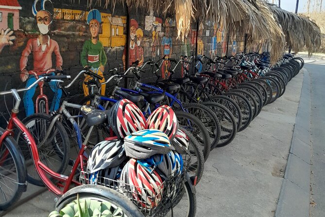 Bicycle or Tuk Tuk Soweto Guided Experience - Vilakazi Street and two famous addresses