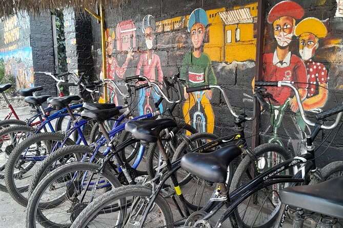 Bicycle or Tuk Tuk Soweto Guided Experience - Orlando Towers and the shantytown walk