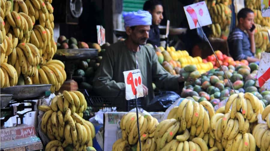 Cairo: Local Market Guided Tour with Tuk-tuk Ride & Lunch - Entering a market used for everyday shopping