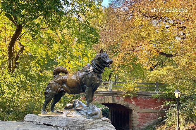 Central Park Pedicab Rickshaw Tours - Bethesda Fountain is the tour’s main pause