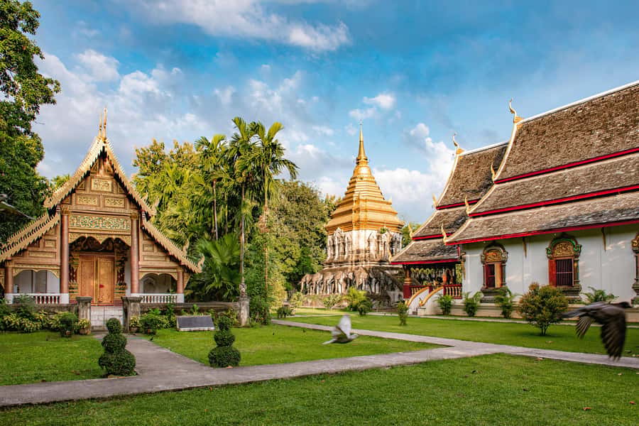 Chiang Mai Light: Tuk Tuk Night Tour with Temples & Markets - What the tuk-tuk ride adds