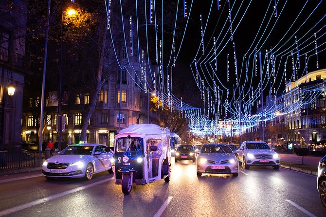 Christmas Lights Tour of Madrid in Eco Tuk Tuk Private - The Prado and San Jerónimo Church after dark