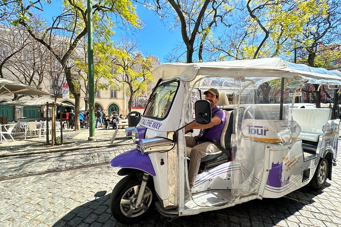 Classic Lisbon & Earthquake Tour by Private Tuk Tuk (4 Hours) - Downtown Lisbon and the earthquake story