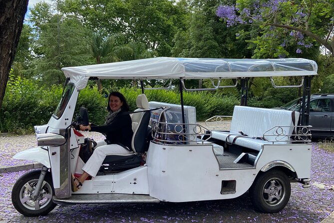 Classic Lisbon & Earthquake Tour by Private Tuk Tuk (4 Hours) - Views from São Pedro and Príncipe Real