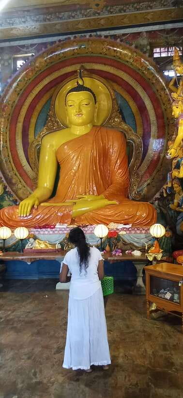 Colombo Sightseeing Private Tour by Tuk Tuk MorningOREvening - Morning or late afternoon?