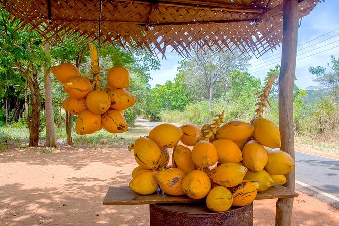 Colombo Tuk Tuk Adventure Explore Food & Culture - A short stop at Colombo’s gemstone center