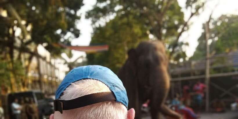 Colombo Tuk Tuk City TourSightseeing EntryFees& FoodIncluded - Why a tuk tuk is a smart way to see Colombo