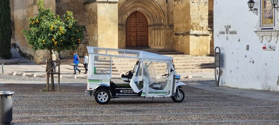 Córdoba: Guided City Tour by Tuk-Tuk - What the guides add to the ride