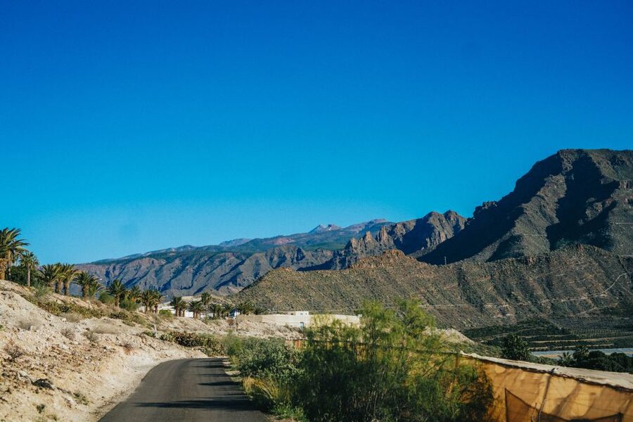 Costa Adeje: Double Tuk Tuk Tour - What the guiding adds