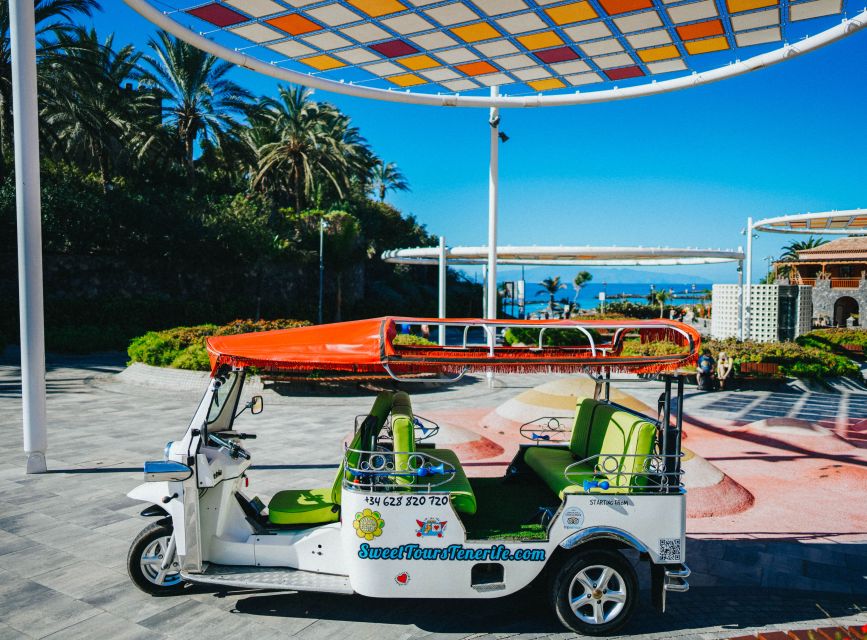 Costa Adeje: Secret Volcano Tuk Tuk Tour - Starting at Hotel Best Jacaranda
